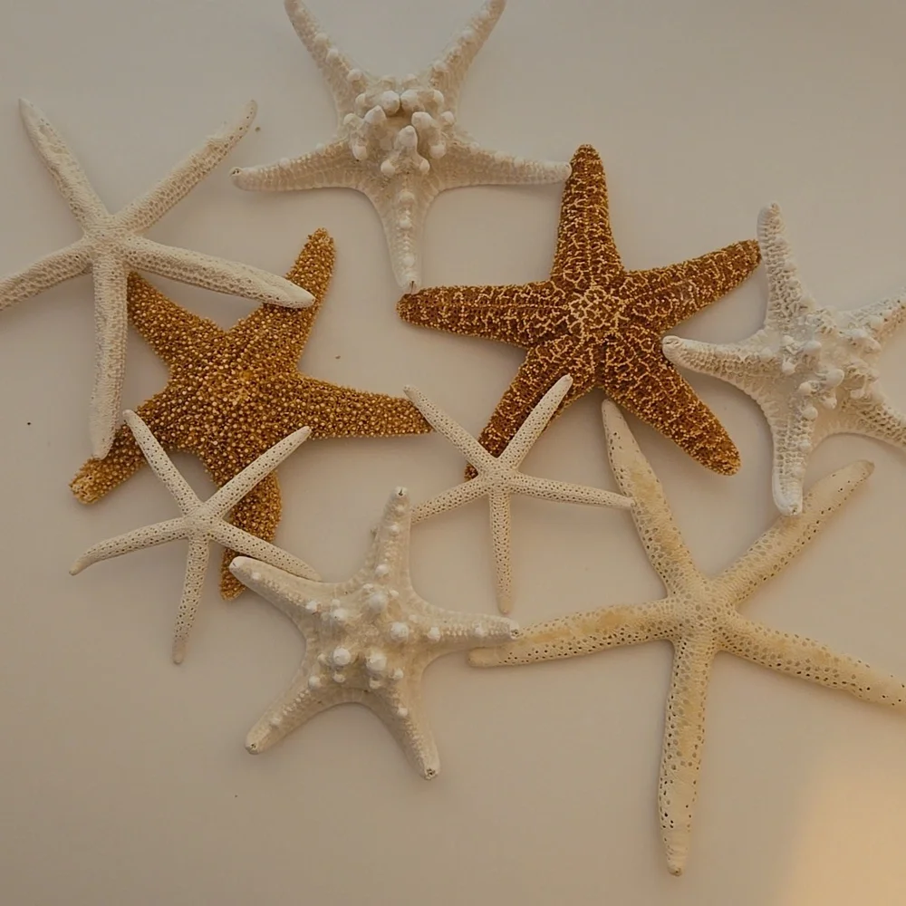 9 Assorted Starfish - Picture 3 of 8